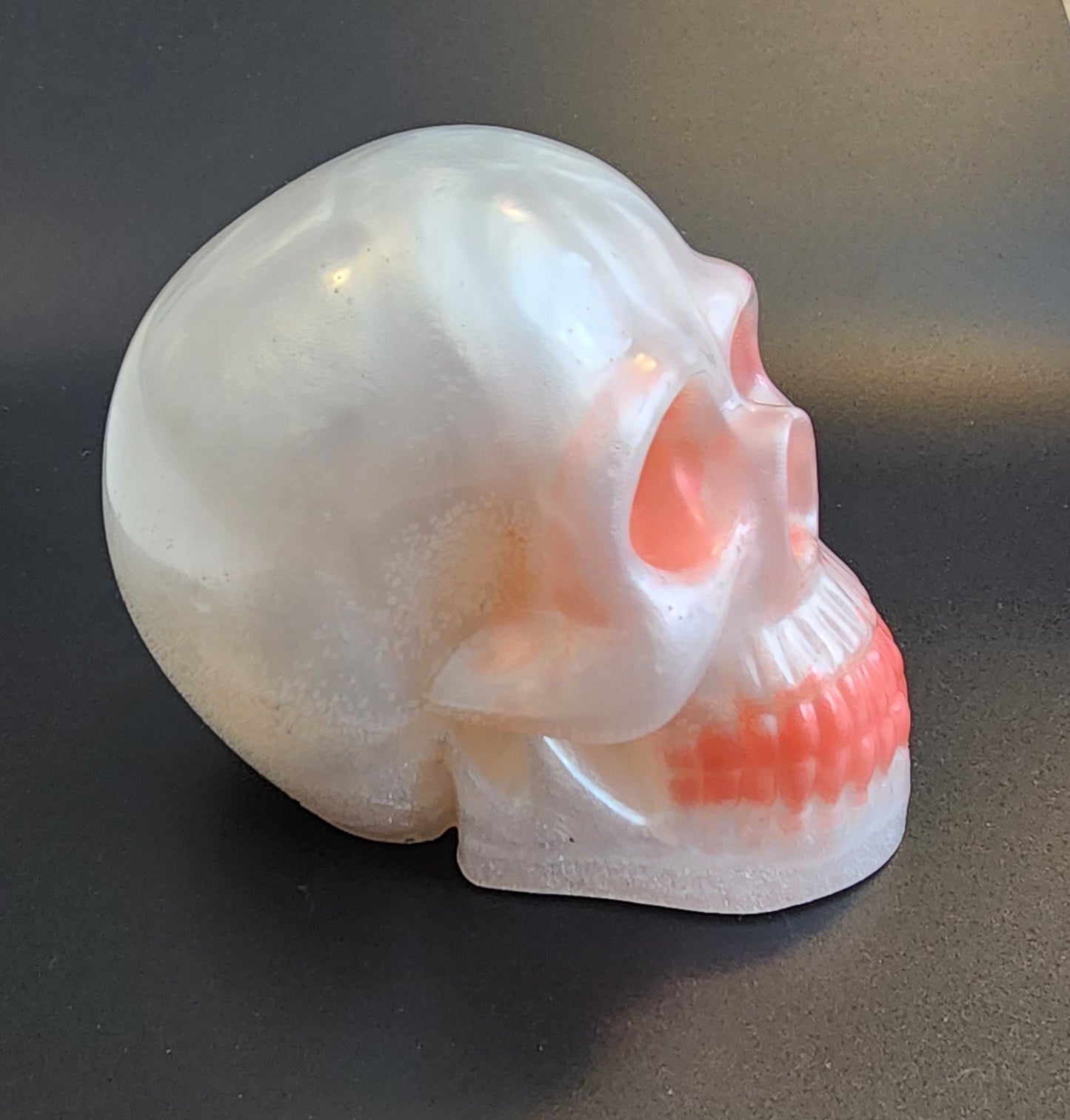 White Resin Skull
