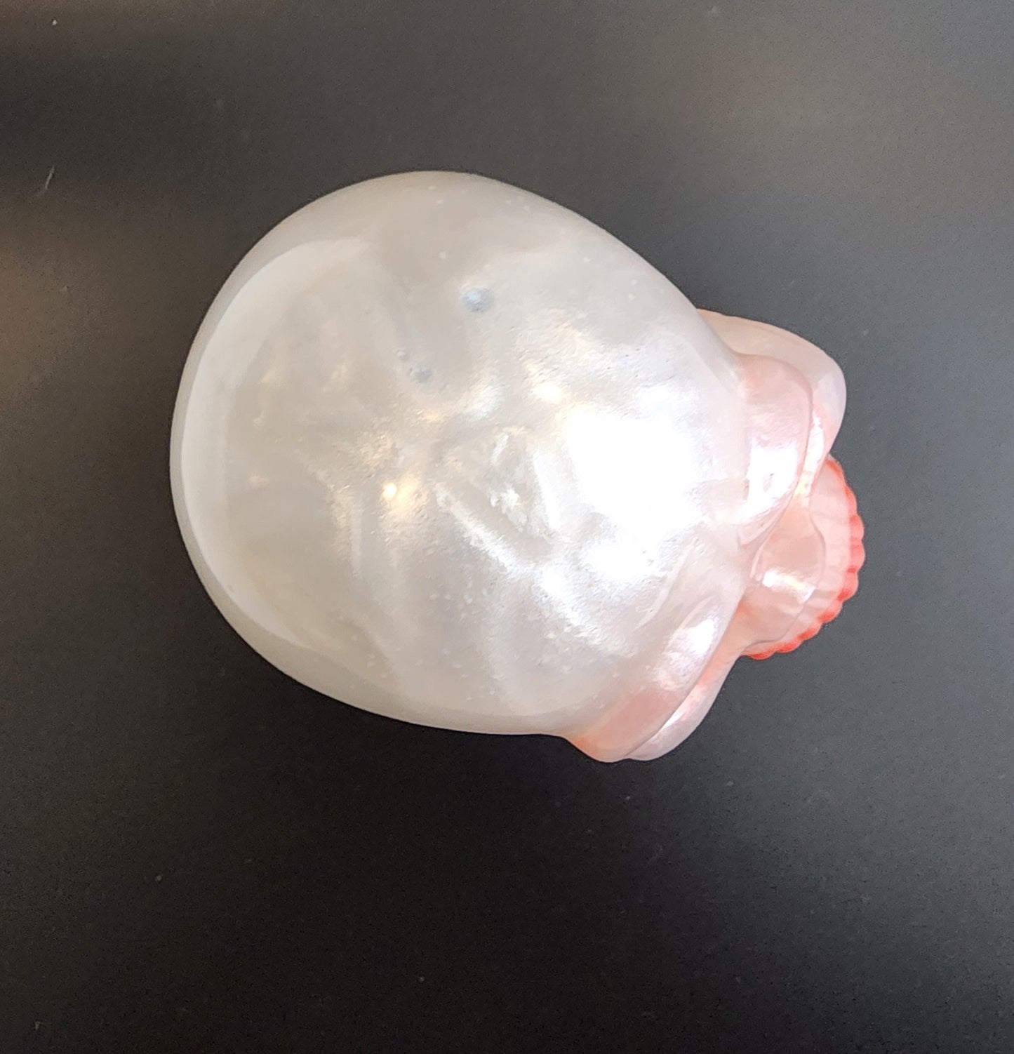 White Resin Skull